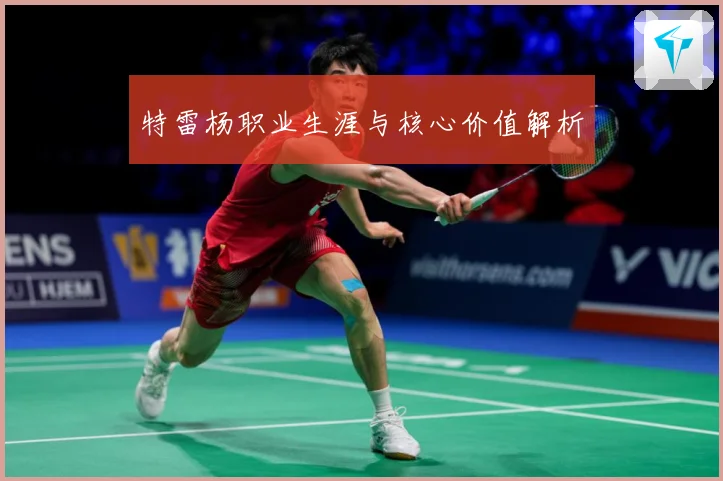 特雷杨职业生涯与核心价值解析