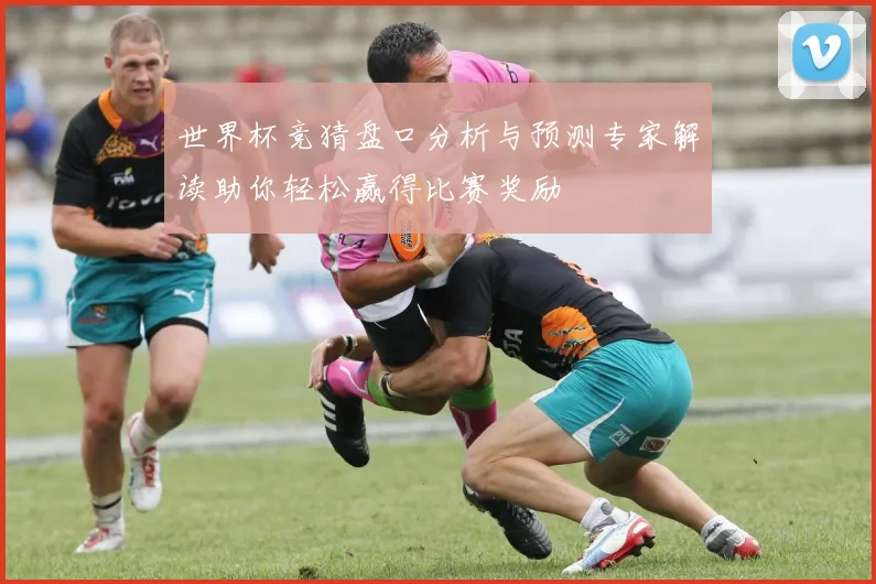 世界杯竞猜盘口分析与预测专家解读助你轻松赢得比赛奖励