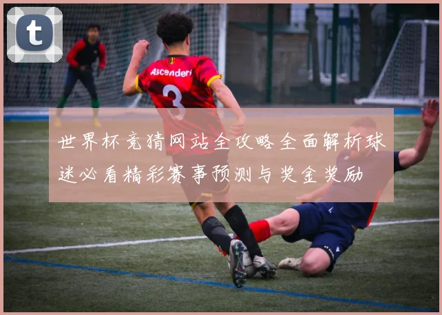 世界杯竞猜网站全攻略全面解析球迷必看精彩赛事预测与奖金奖励