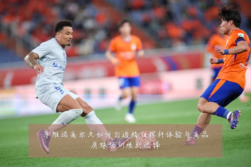 李维诺高尔夫如何打造精准挥杆体验与高品质球场训练新选择