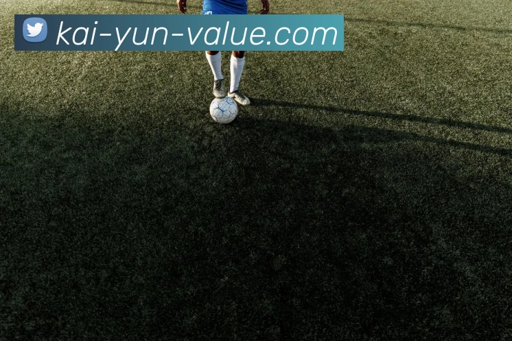 开云官网全站App